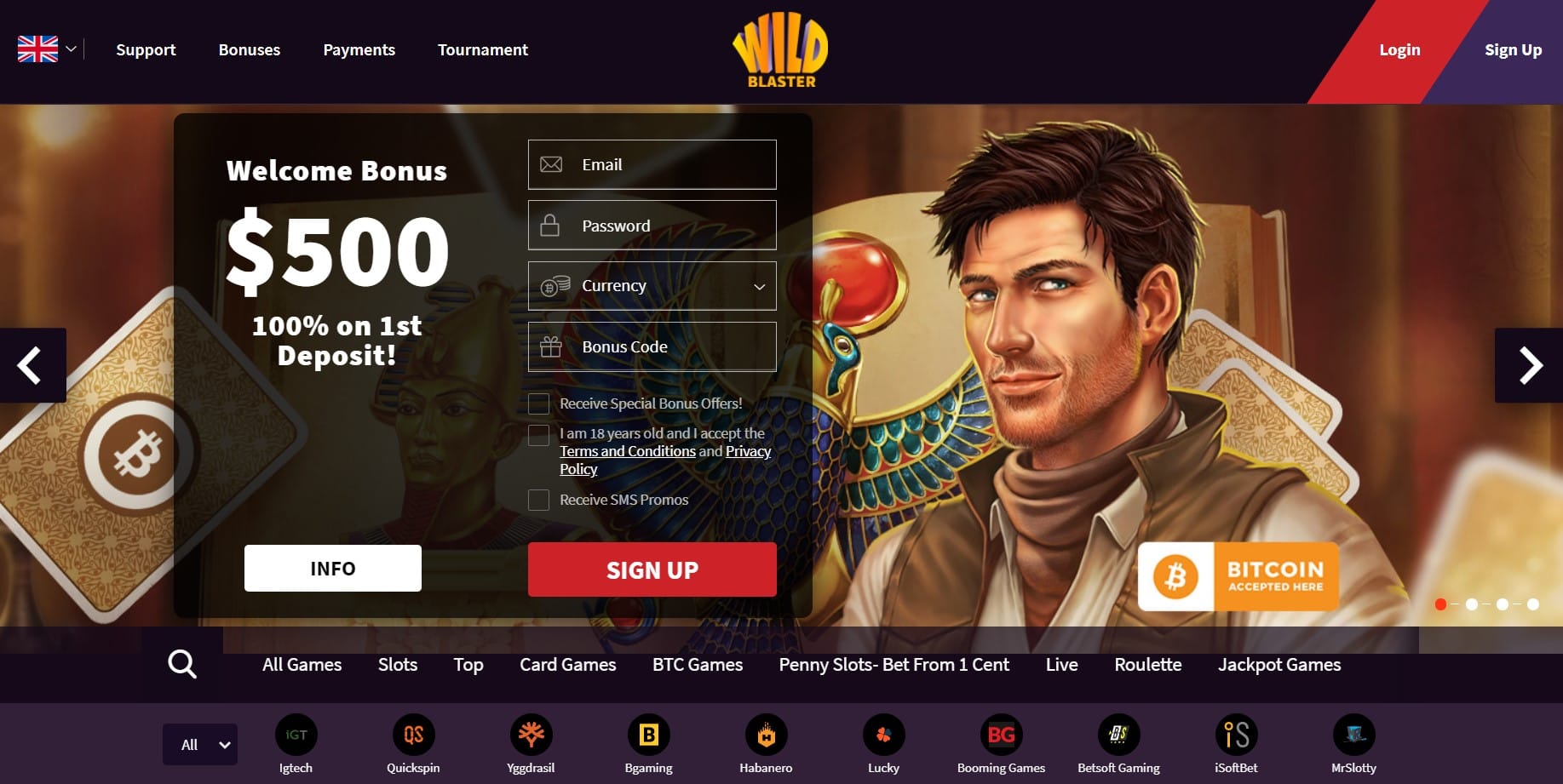 Wildblaster Casino homepage